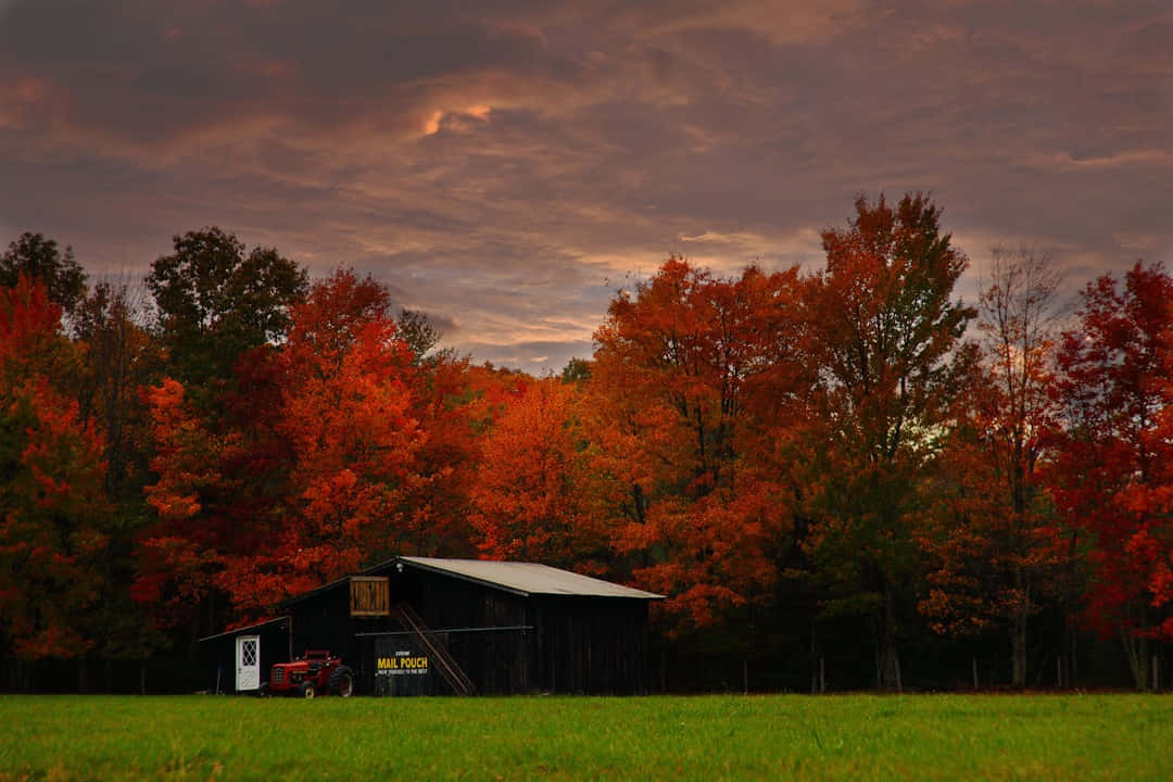 Fall Country, rustic barn, vibrant autumn field, SD Desktop Wallpaper