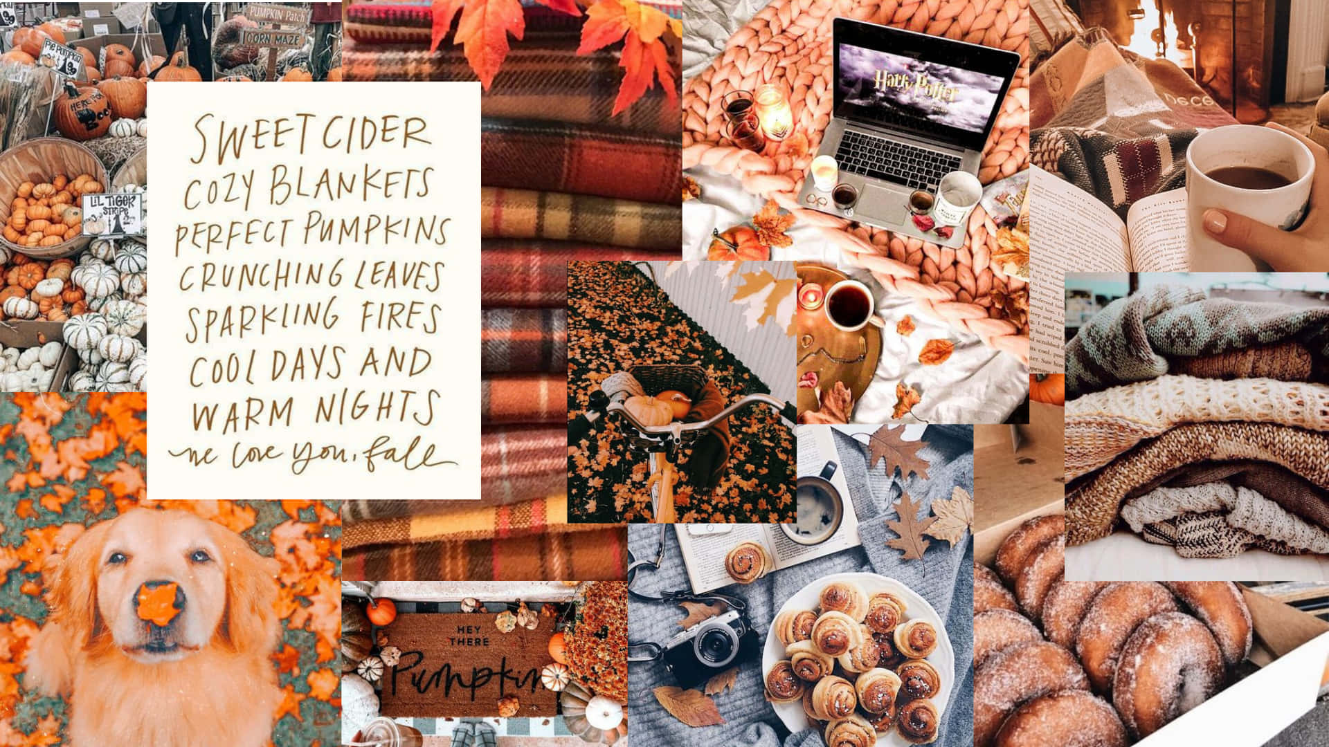 Fall Aesthetic, pumpkins, blankets, Full HD Desktop Wallpaper