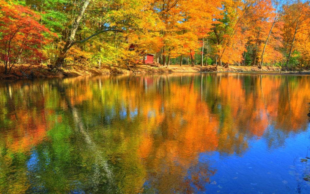Lake Reflection, autumn trees, fiery orange red leaves, SD Desktop Wallpaper