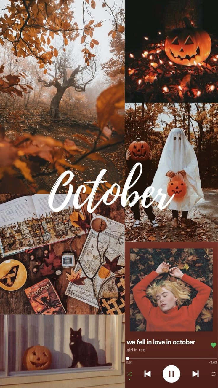 Fall Collage Desktop Display, autumnal Halloween scenes, pumpkins, HD Phone Wallpaper