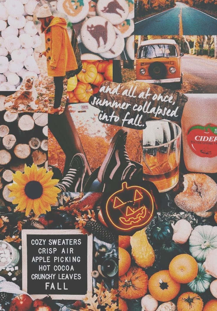 Fall Collage Desktop Theme, pumpkins, cider, SD Phone Wallpaper