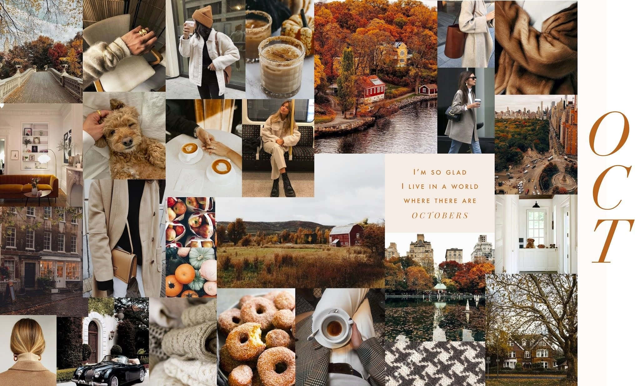 chic fall collage desktop, coffee donuts, warm sweaters, Full HD Desktop Wallpaper