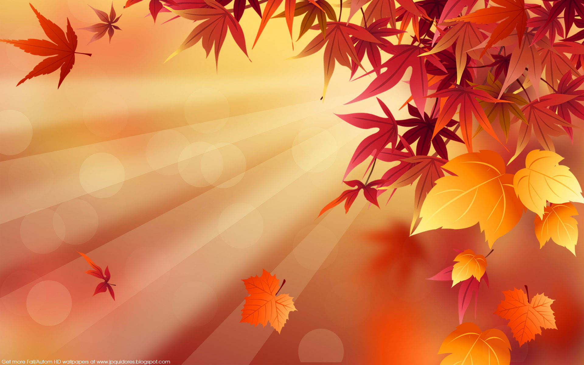 Radiant Maple Fall Desktop, autumn maple leaves, fiery reds oranges and yellows, Full HD Desktop Wallpaper