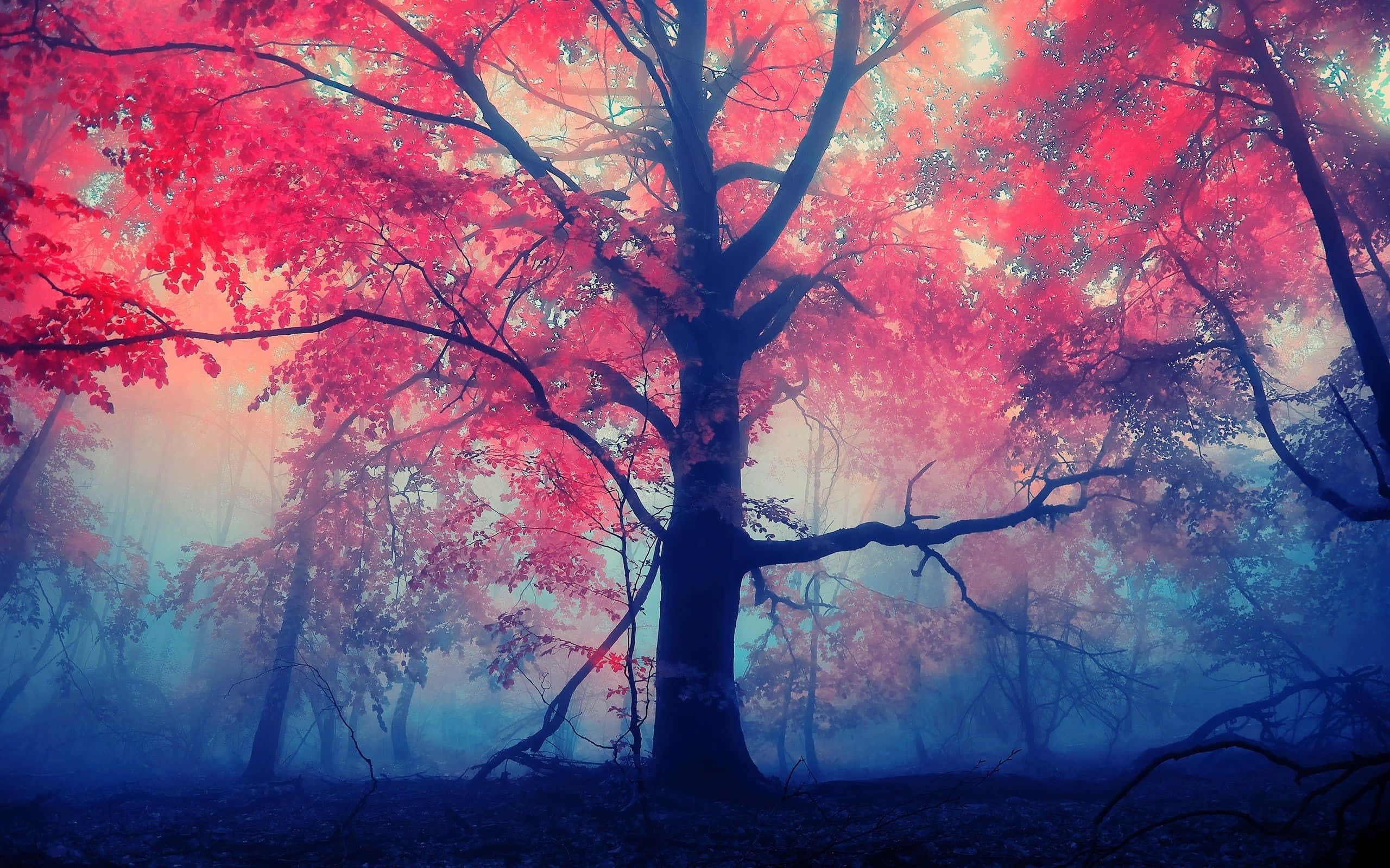 pink fall, fiery red leaves, misty forest, 2K Desktop Wallpaper