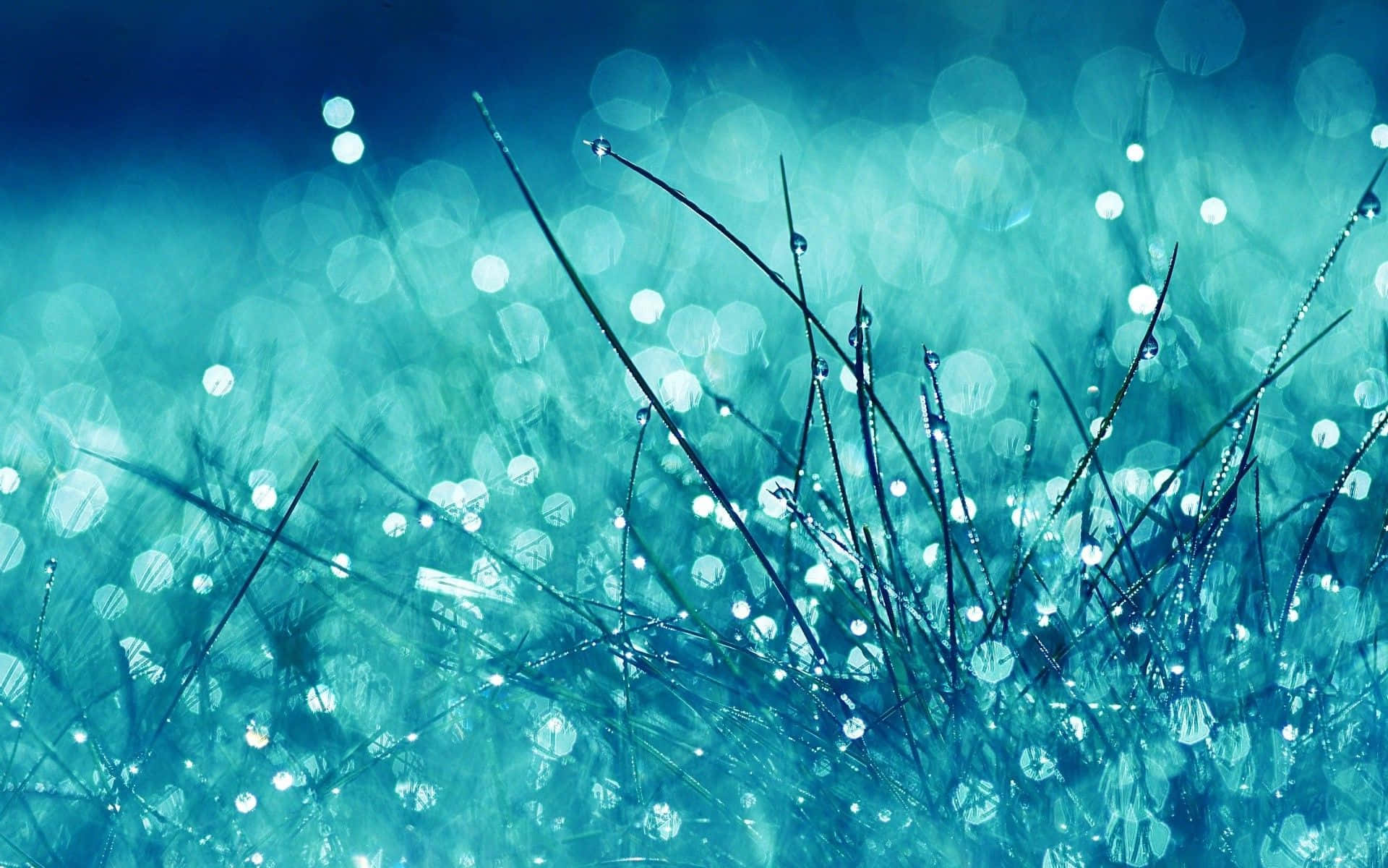 aqua dewdrops, grass, teal bokeh background, Full HD Desktop Wallpaper