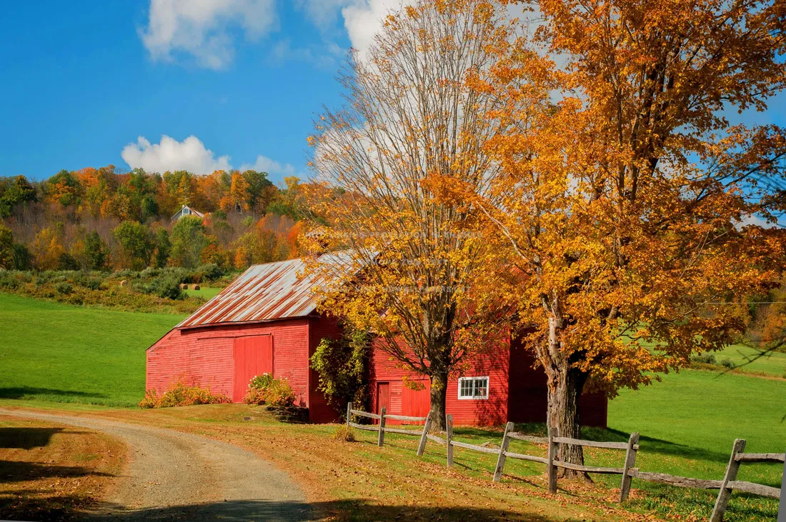 Fall Farm