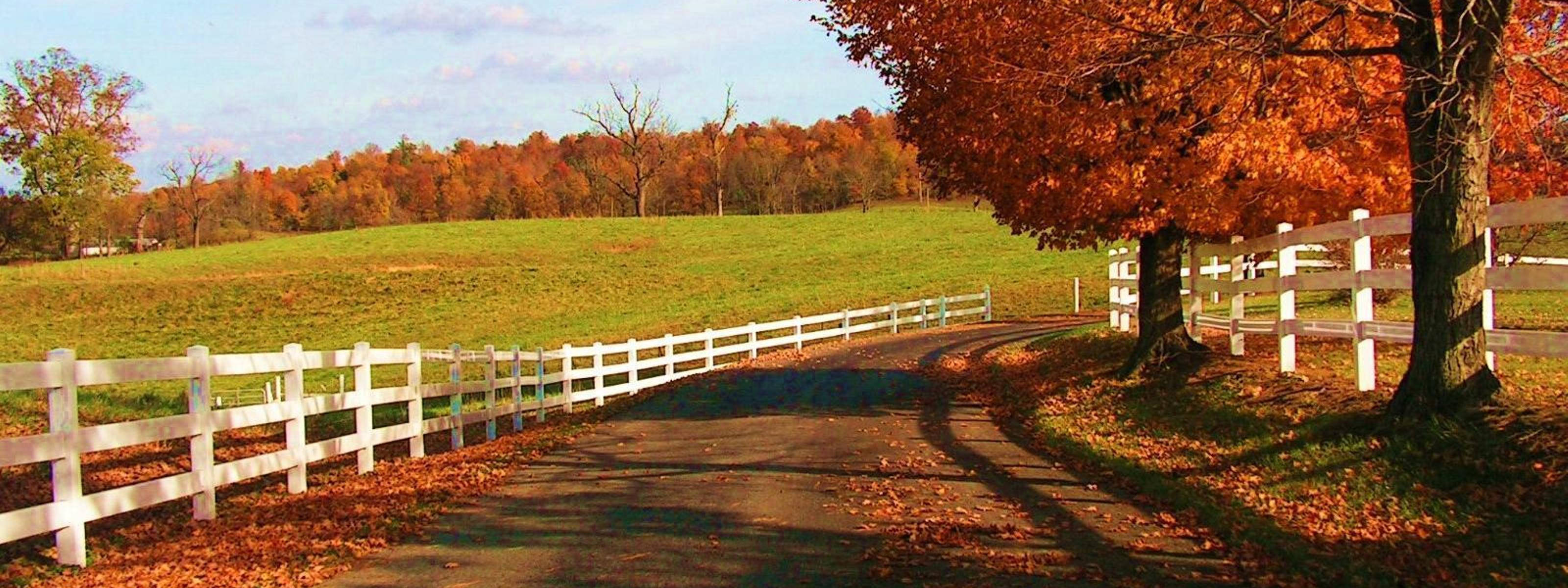 Fall Farm, white fence, dirt road, 2K Desktop Wallpaper