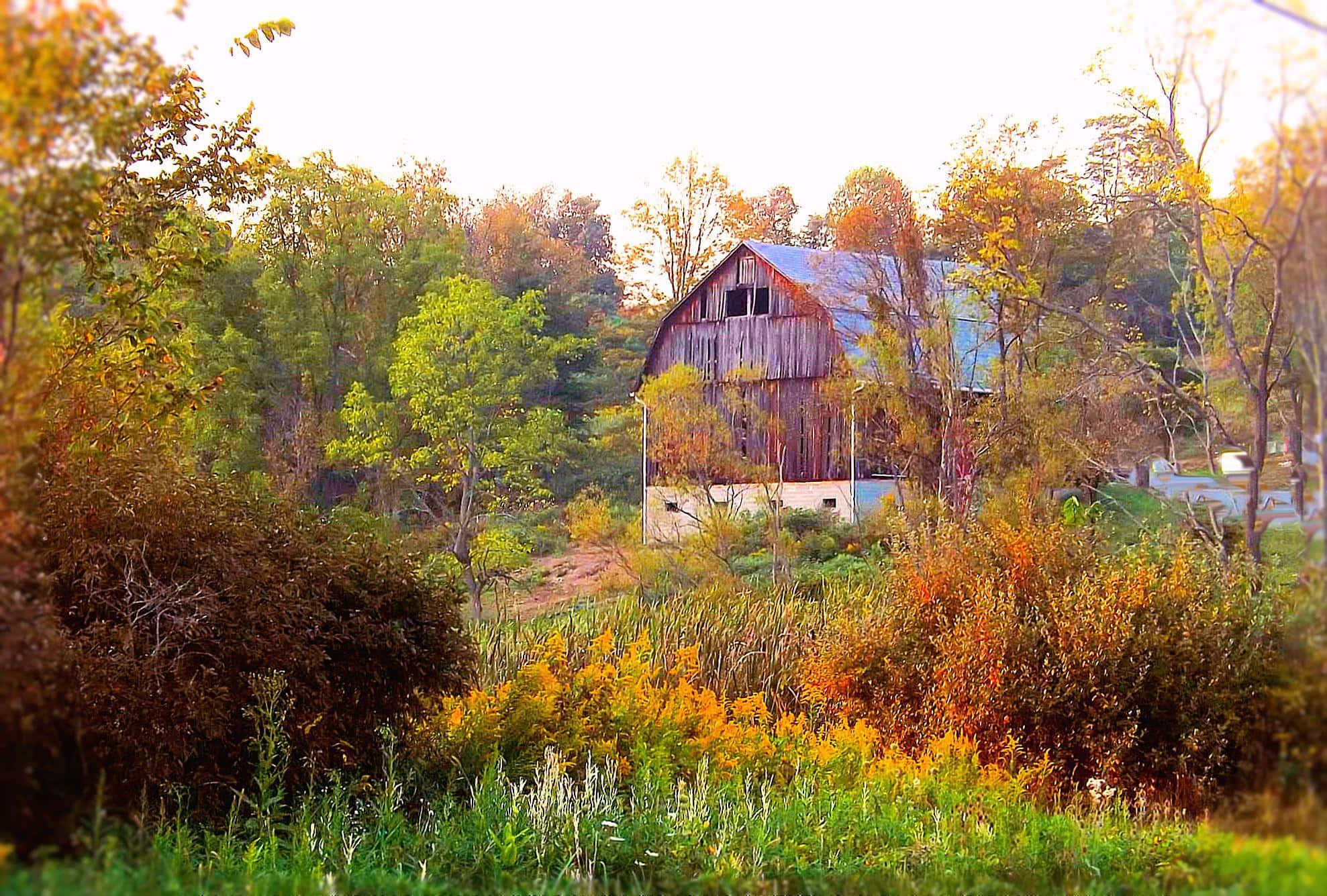 Fall Farmhouse, 1977, wooden barn, Full HD Desktop Wallpaper