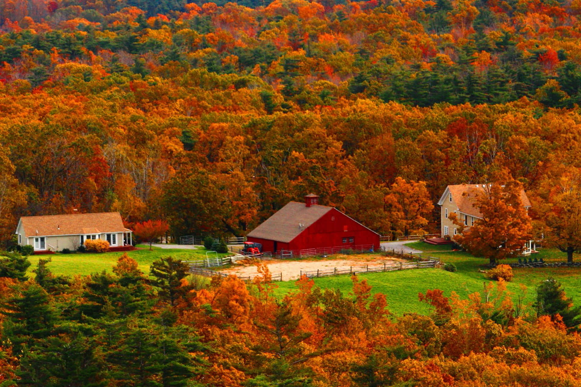 Fall Farmhouse, red barn, farmhouses, Full HD Desktop Wallpaper