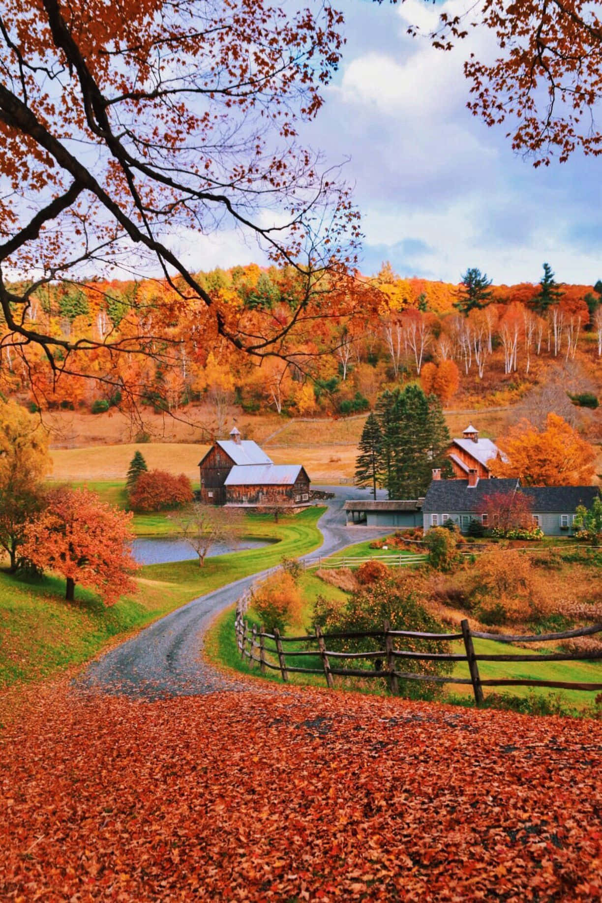 Fall Farmhouse, gravel road, red leaves, HD Phone Wallpaper