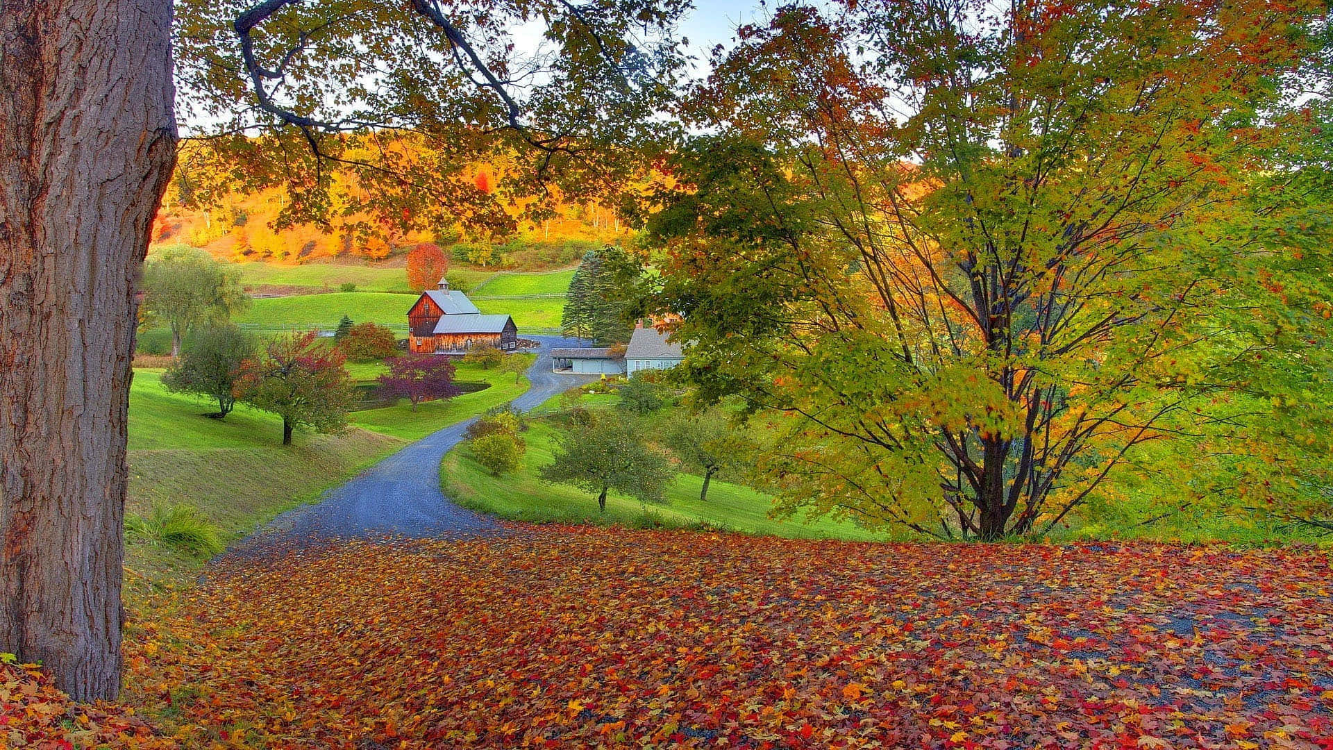 Fall Farmhouse, red barn, autumn landscape, Full HD Desktop Wallpaper