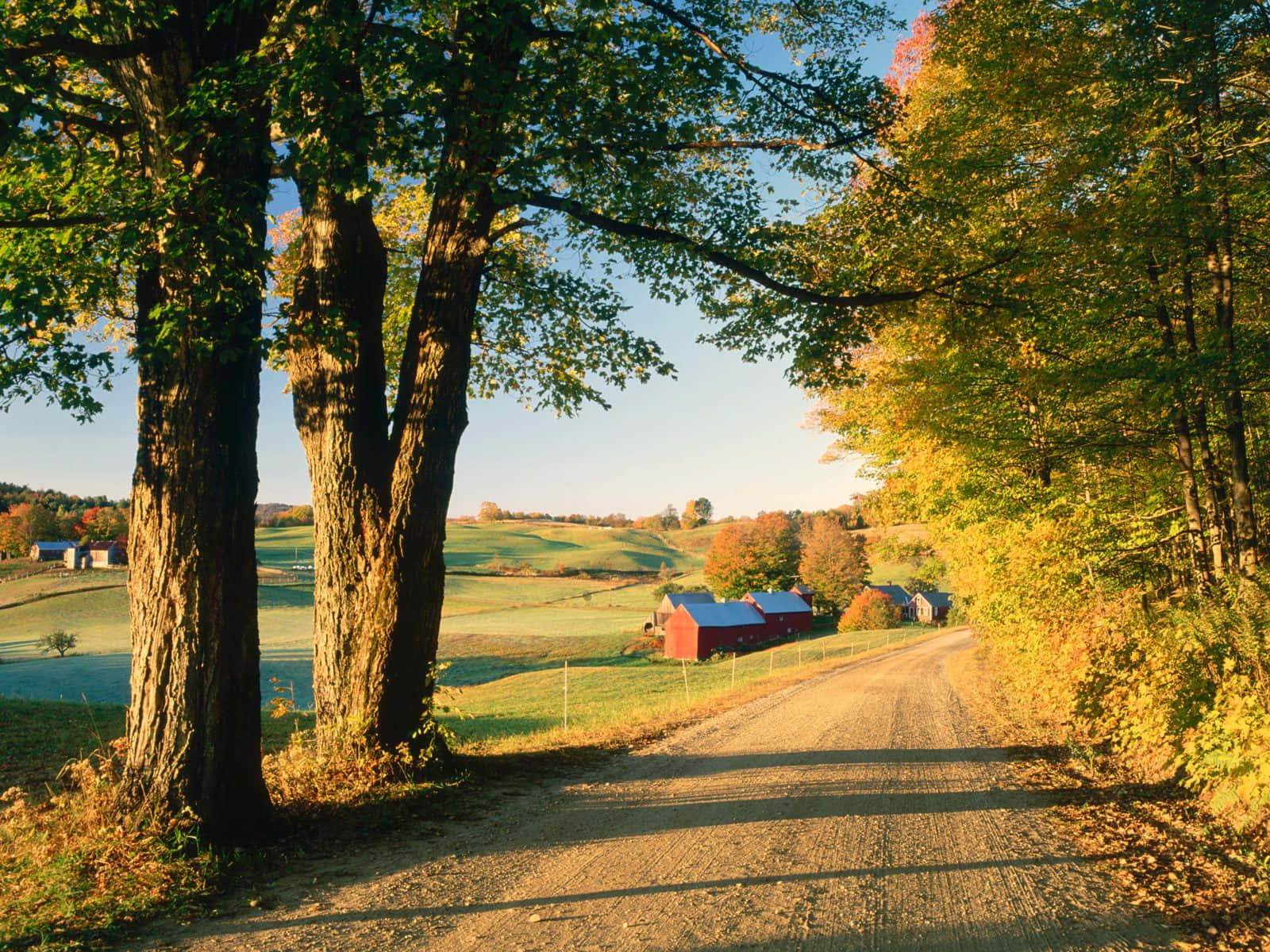 Fall Farmhouse, dirt road, autumn woods, HD Desktop Wallpaper
