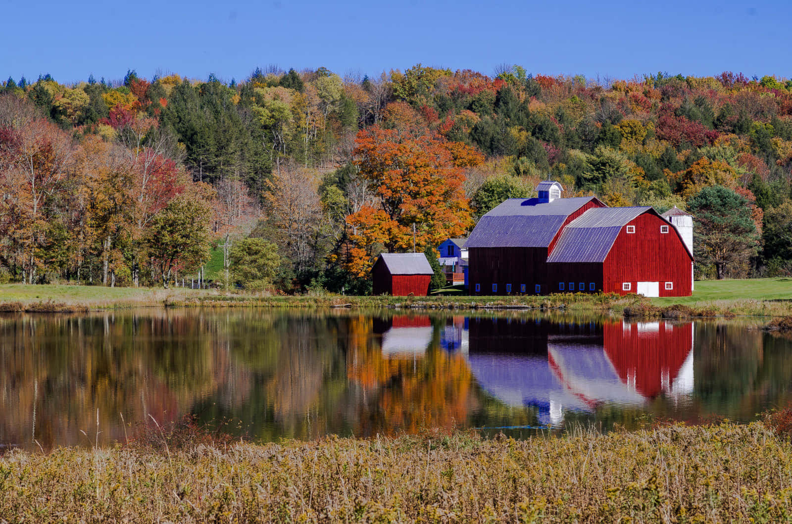 Fall Farmhouse, red barn, blue trim, HD Desktop Wallpaper