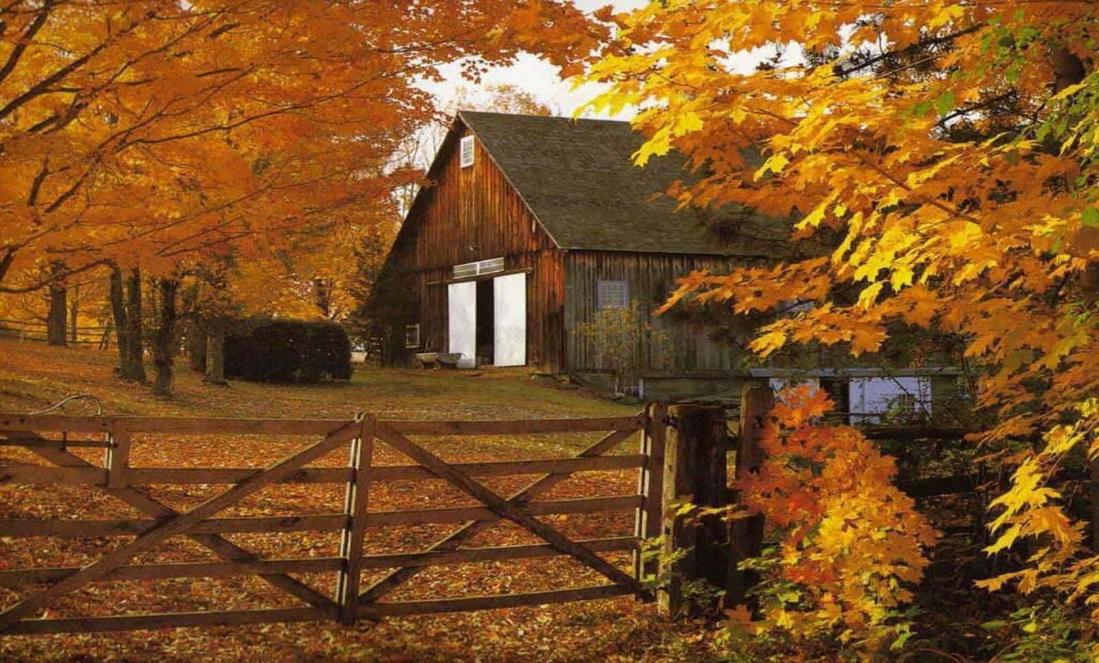 Fall Farmhouse, rustic wooden barn, weathered gate, HD Desktop Wallpaper