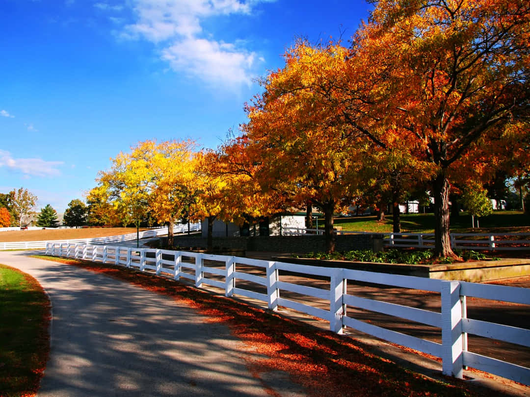 Fall Farmhouse, winding path, white fence, SD Desktop Wallpaper