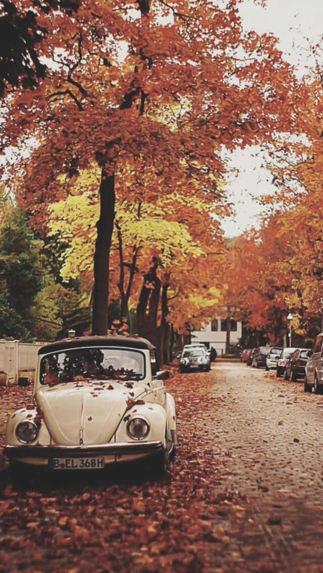 vintage white Volkswagen Beetle, cobblestone street, autumn leaves, SD Phone Wallpaper
