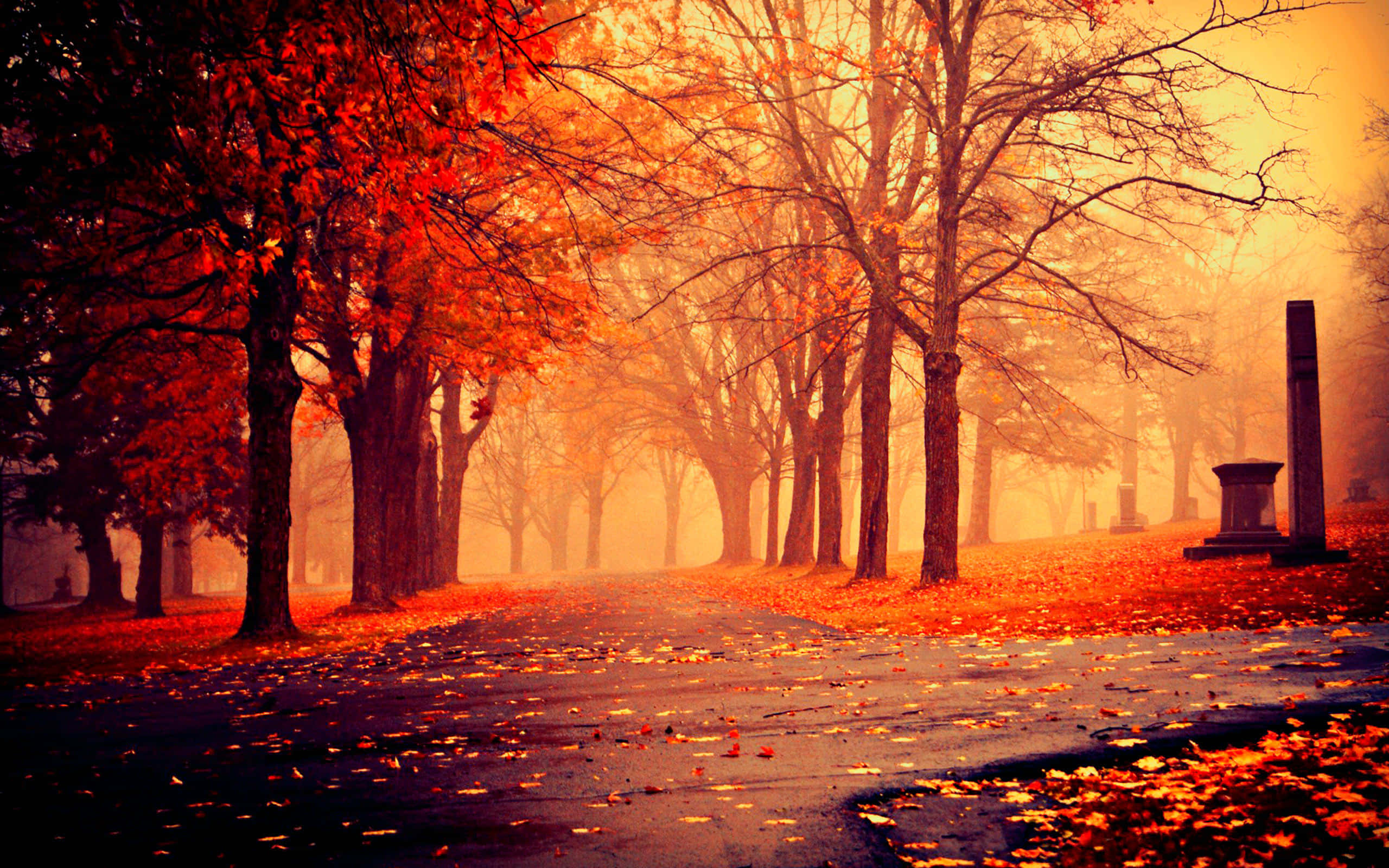 Fall Festival, autumn path, fiery red trees, 2K Desktop Wallpaper