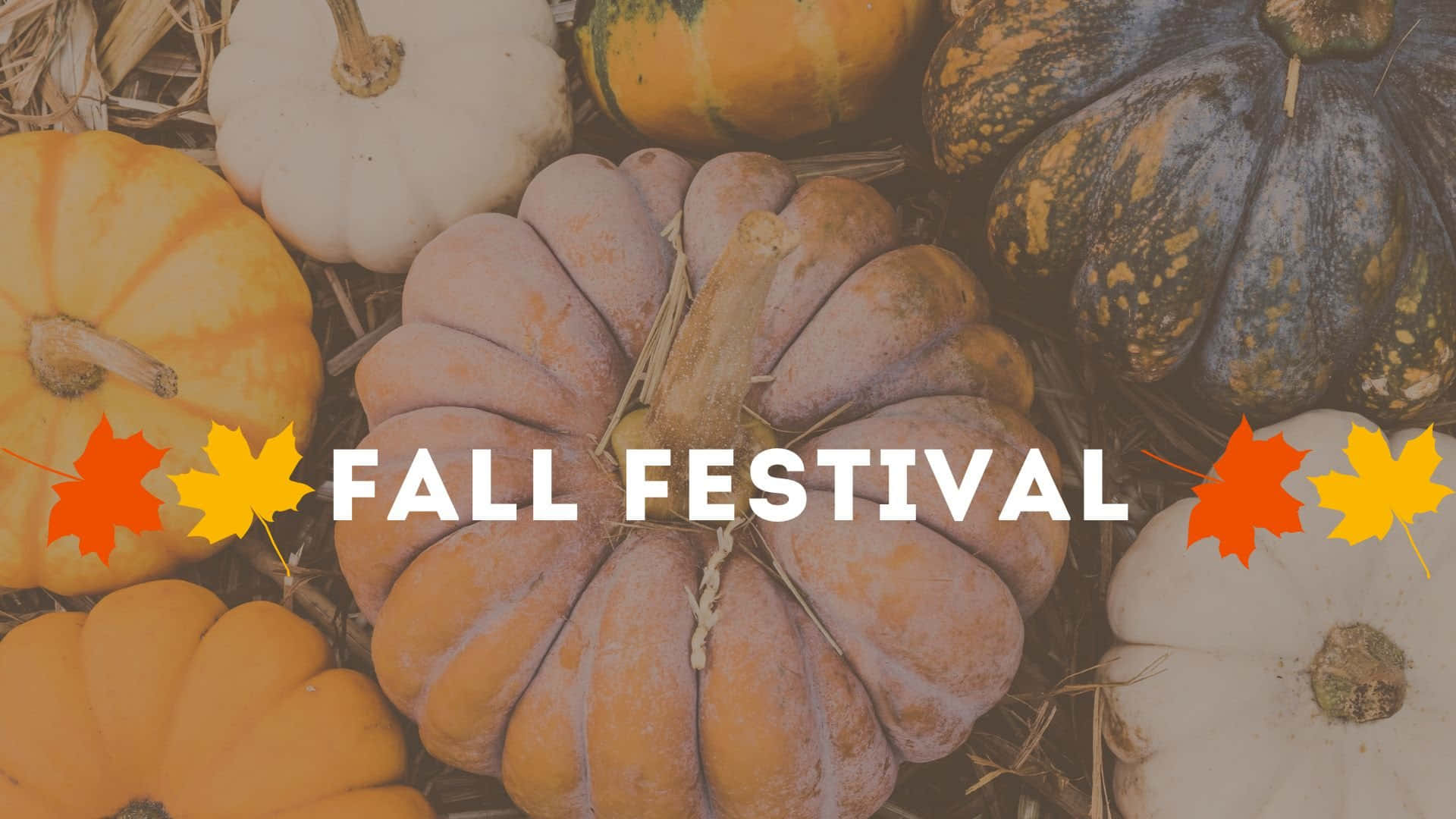 Fall Festival, pumpkins, gourds, Full HD Desktop Wallpaper