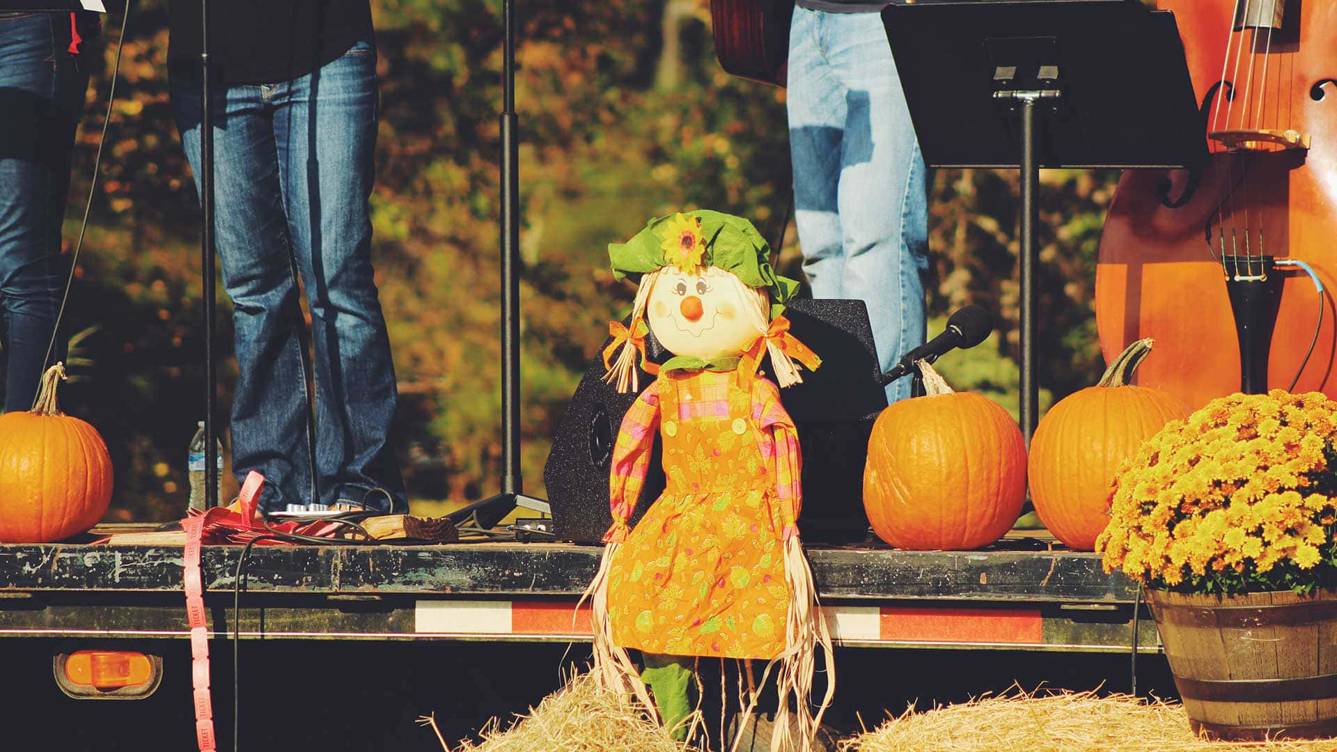 Fall Festival, scarecrow, floral dress, Full HD Desktop Wallpaper