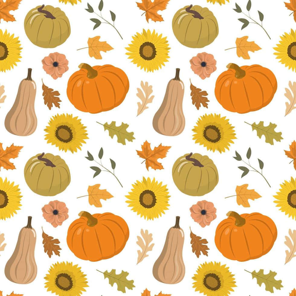 Fall Festival, pumpkins, sunflowers, SD Desktop Wallpaper