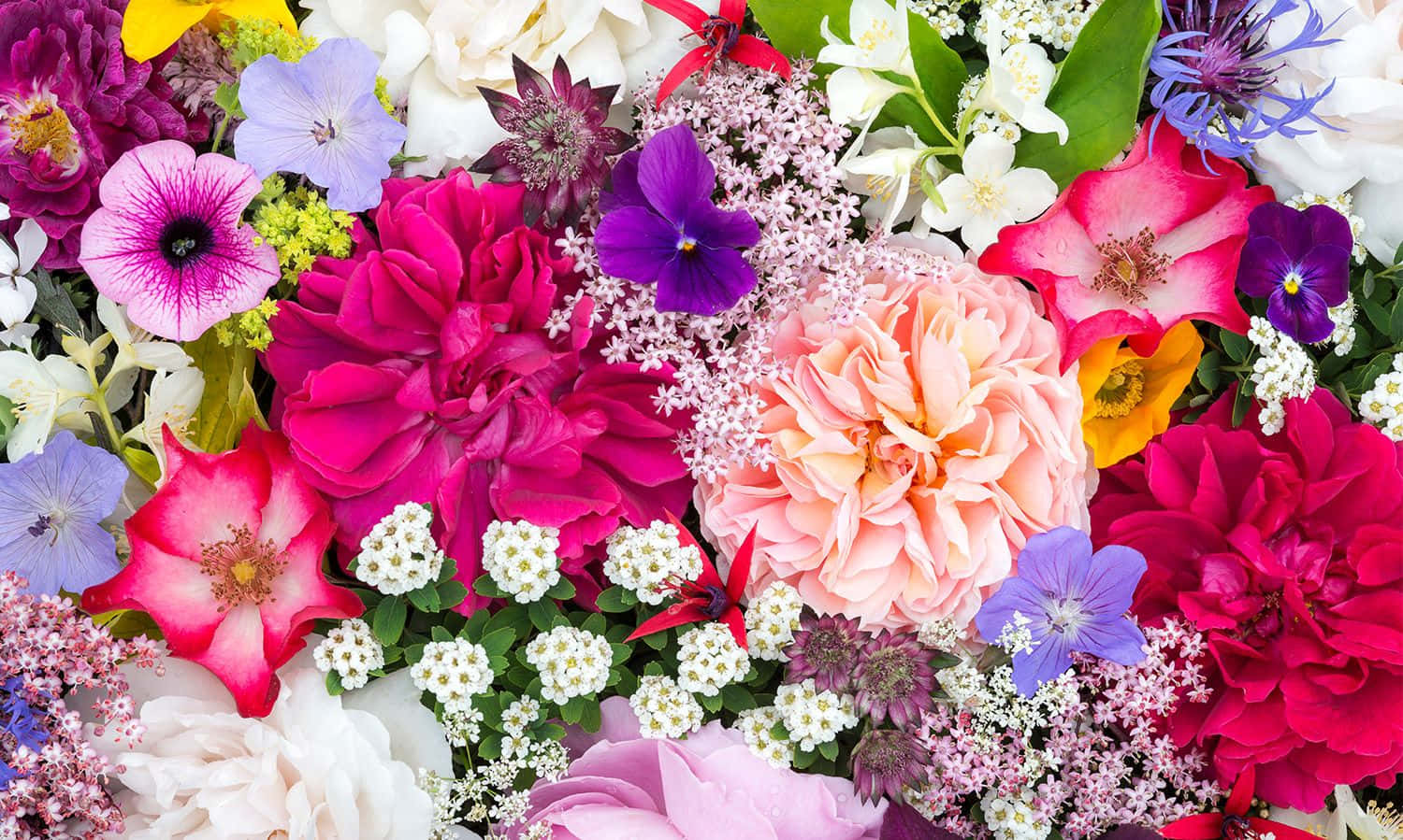 fall flowers, roses, pansies, HD Desktop Wallpaper