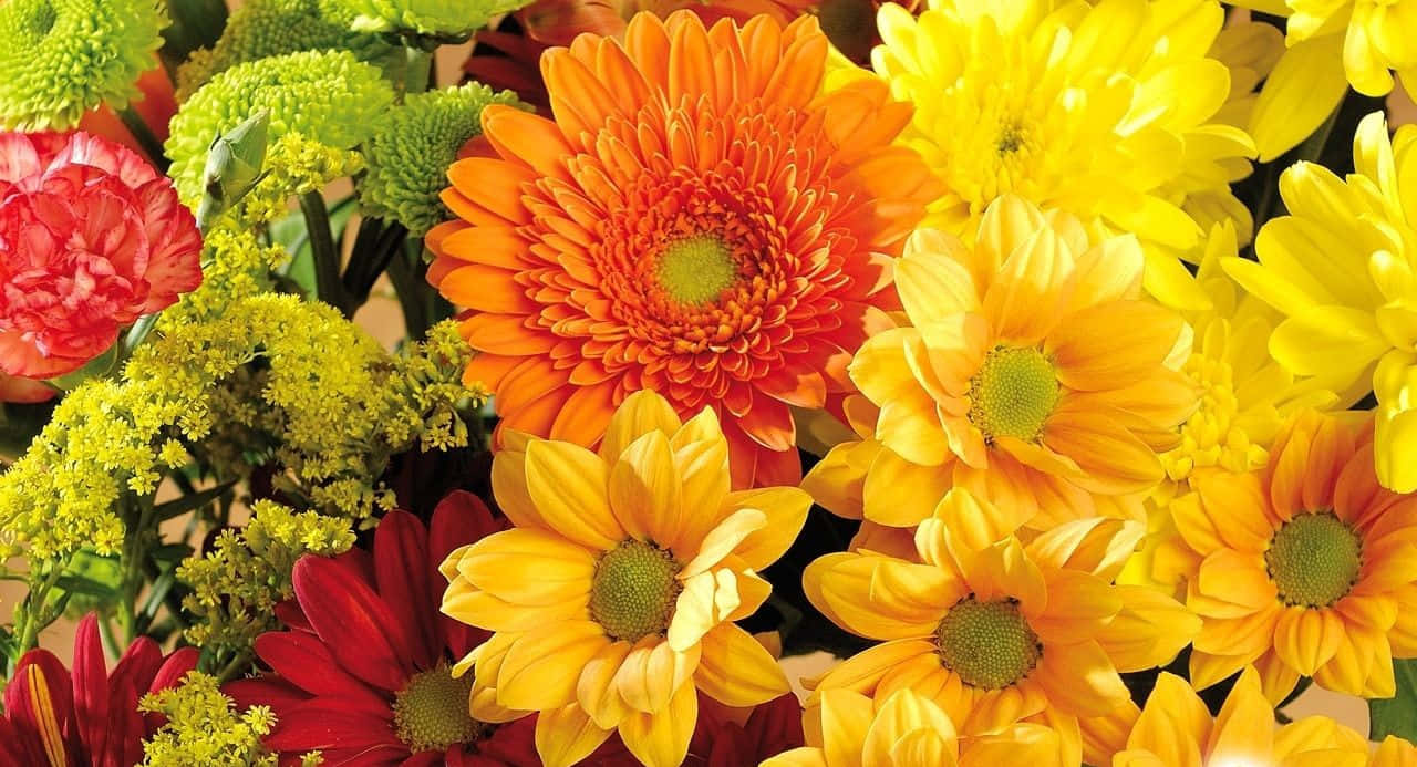 Fall Flowers, orange, yellow, HD Desktop Wallpaper