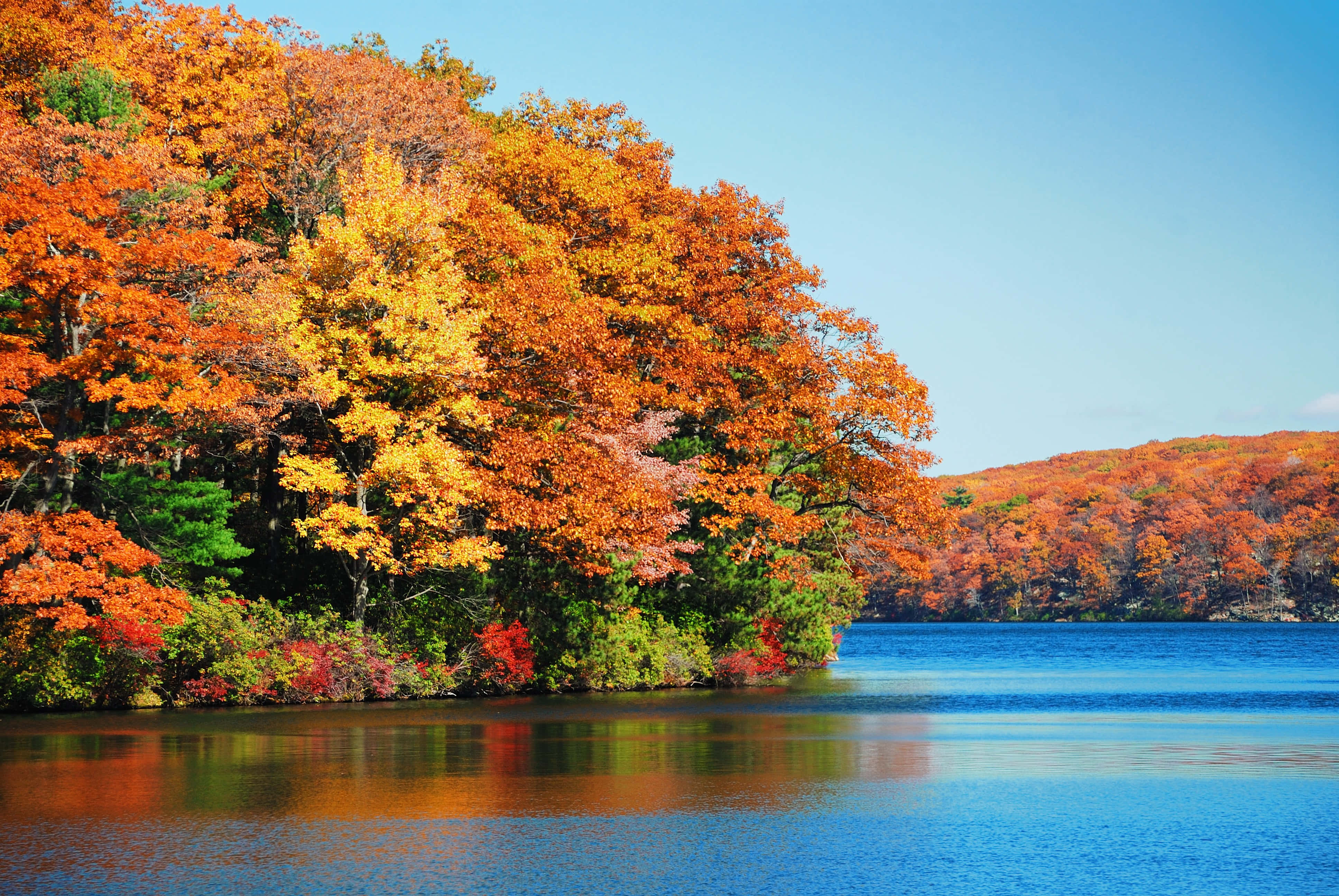 Fall Forest, fiery orange yellow and red leaves, calm blue lake, 4K Desktop Wallpaper
