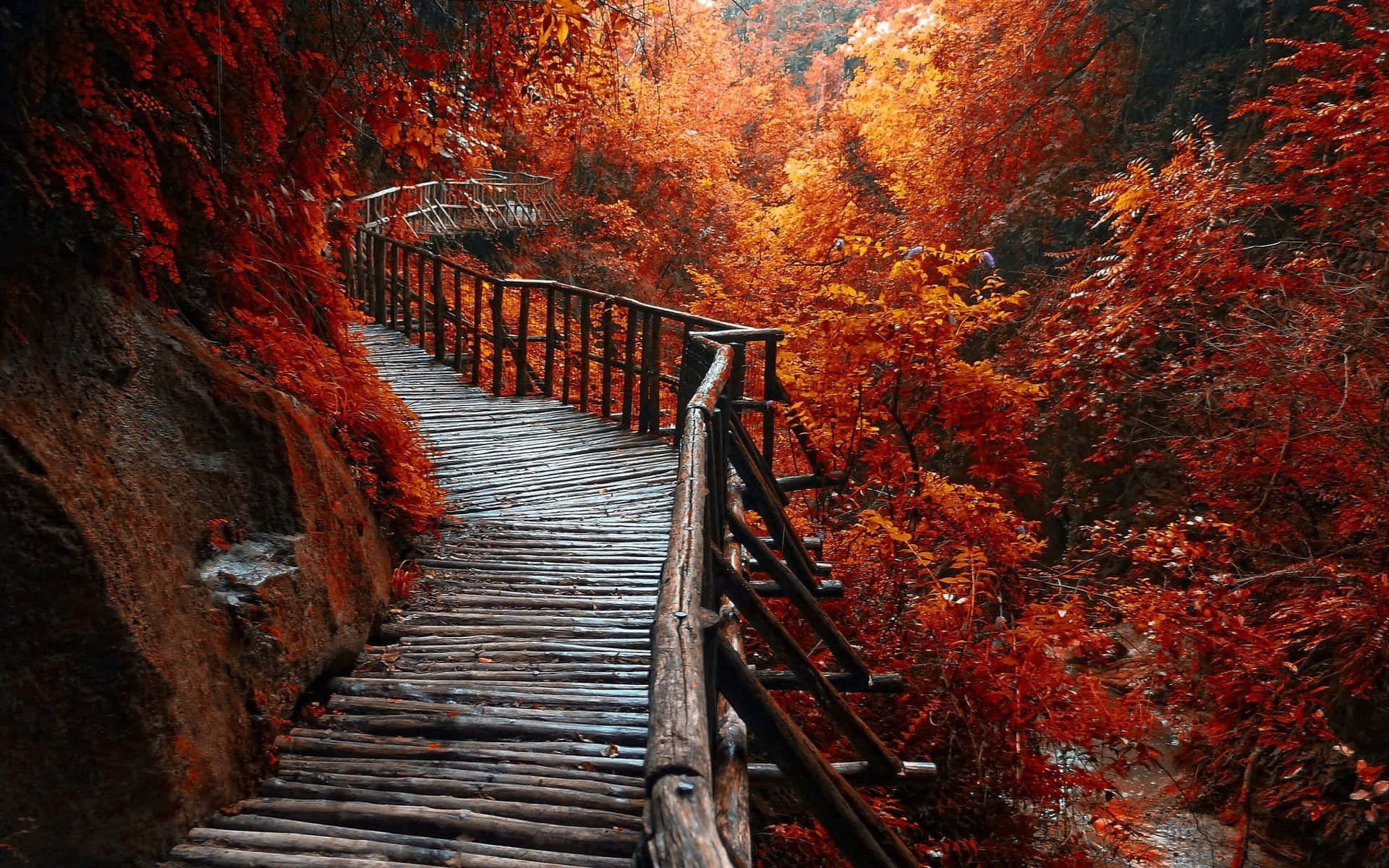 Fall Forest, wooden boardwalk, fiery red, Full HD Desktop Wallpaper