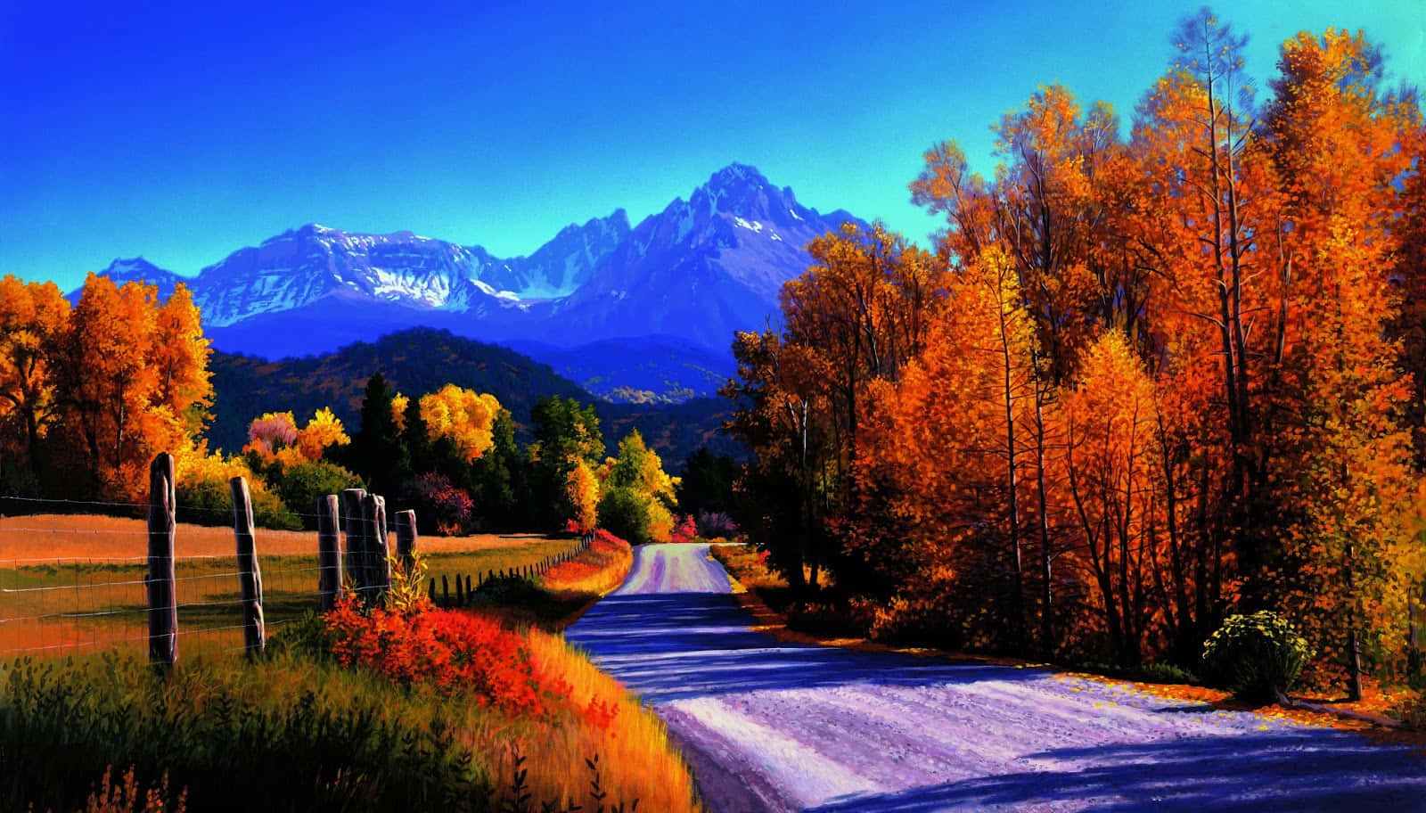 autumn trees, winding road, snow-capped mountains, HD Desktop Wallpaper