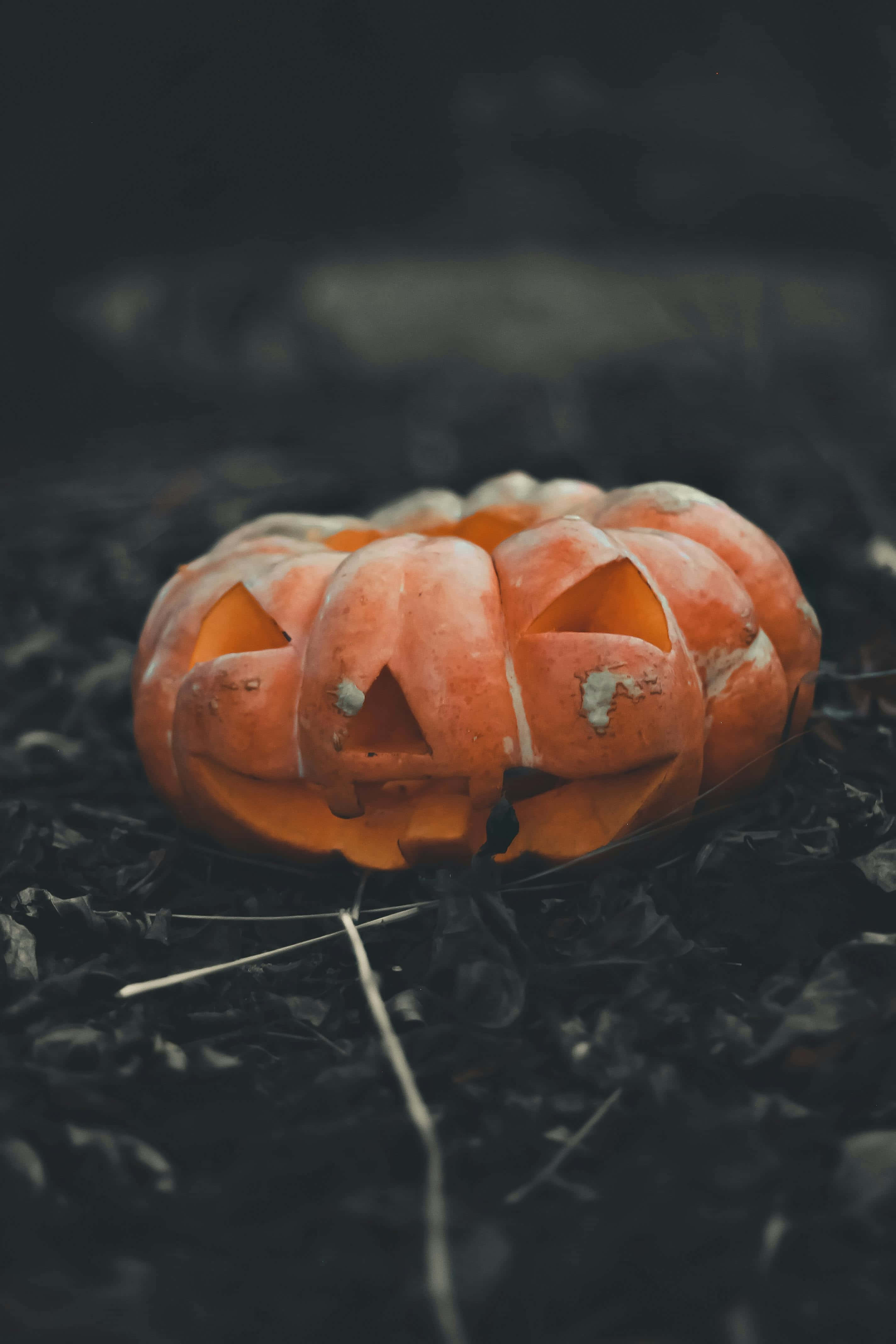 decaying halloween pumpkin, jack-o'-lantern, triangular eyes, 4K Phone Wallpaper