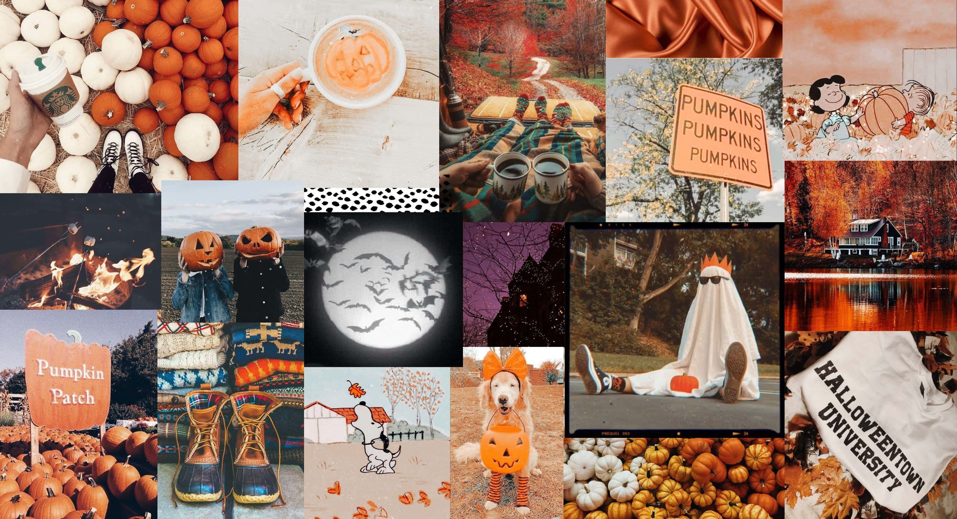 Fall Halloween Aesthetic, pumpkins, costumes, 2K Desktop Wallpaper