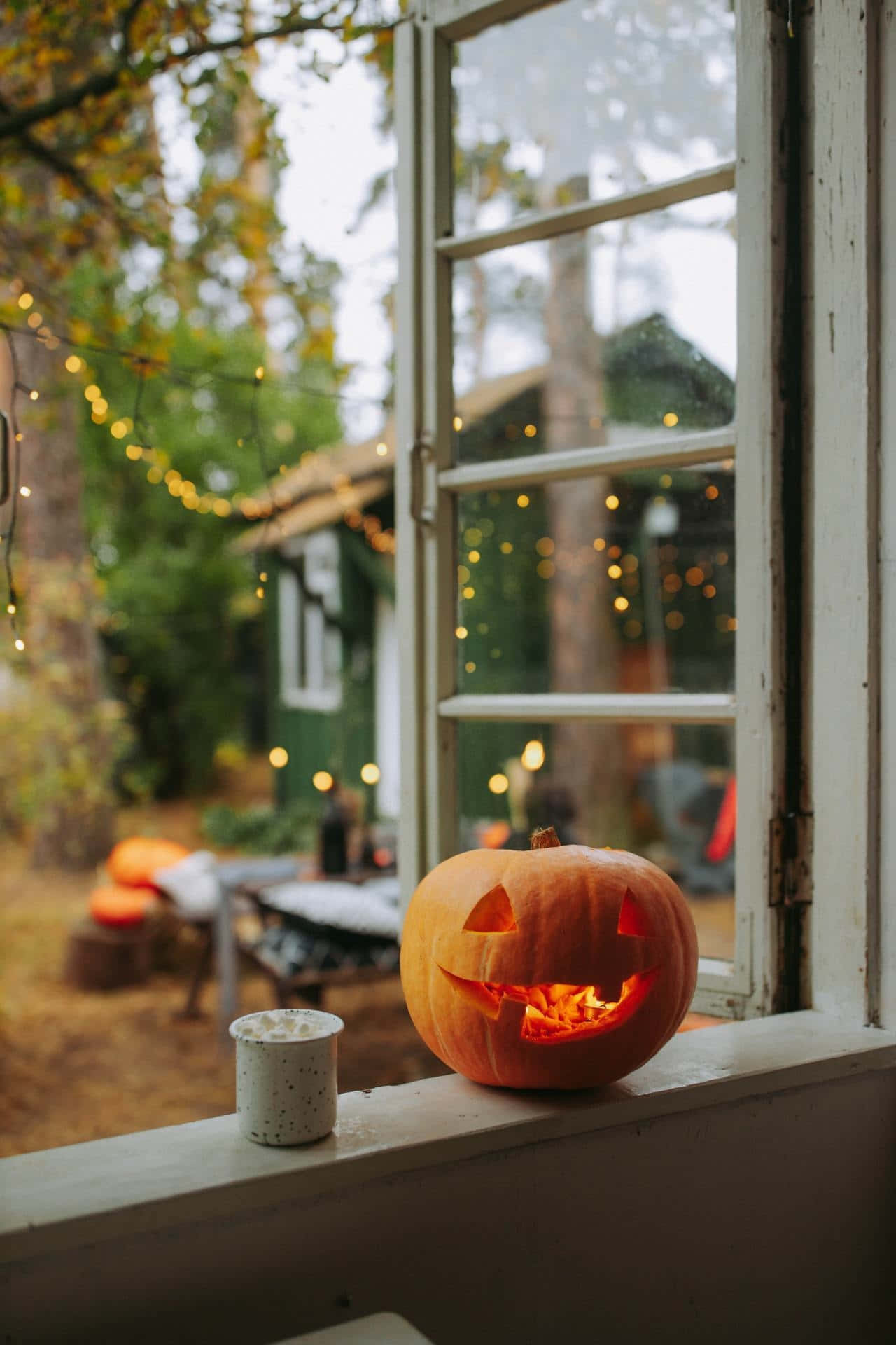 jack-o'-lantern, windowsill, forest, Full HD Phone Wallpaper