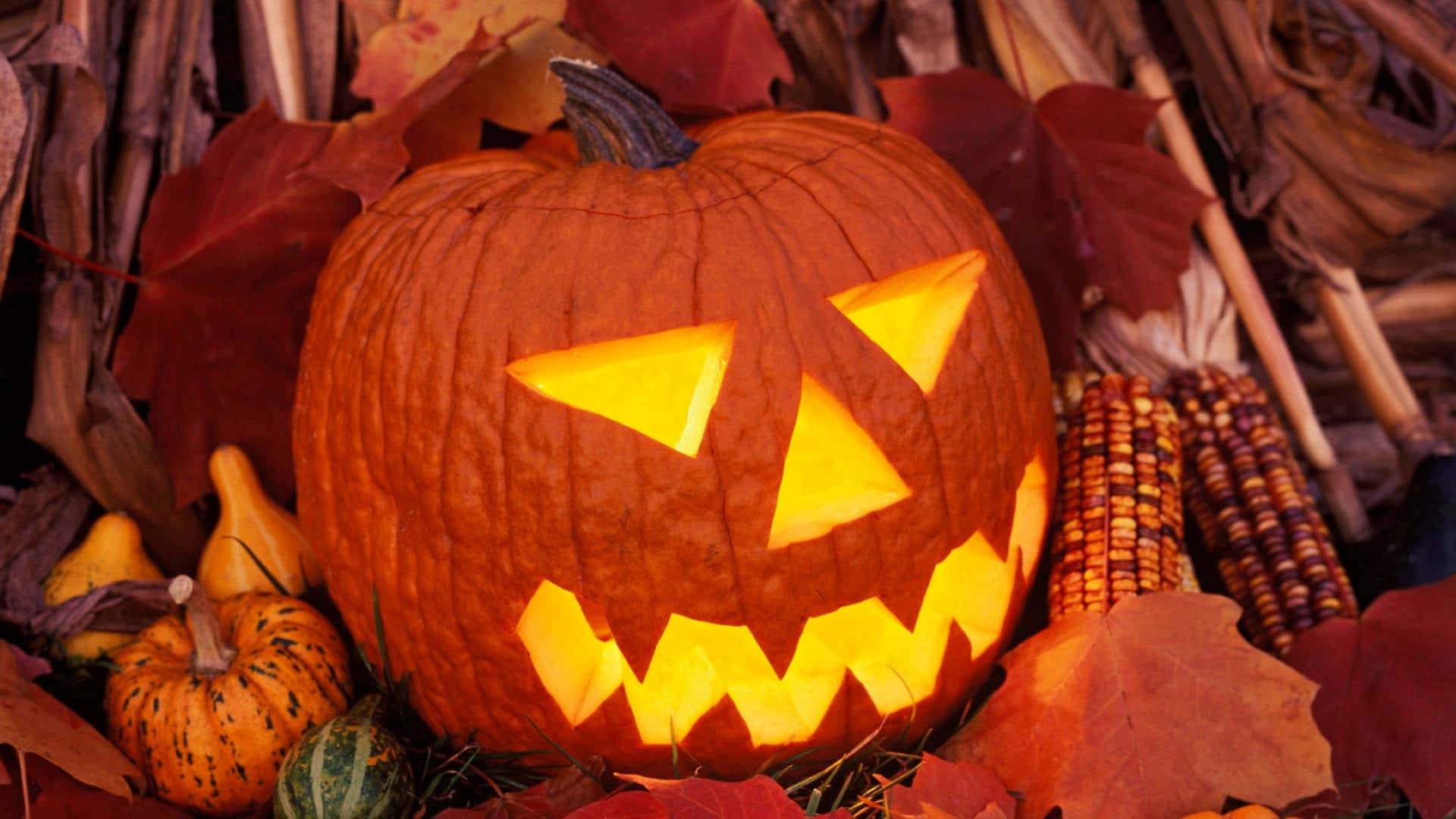 jack-o'-lantern, triangular eyes, jagged grin, Full HD Desktop Wallpaper