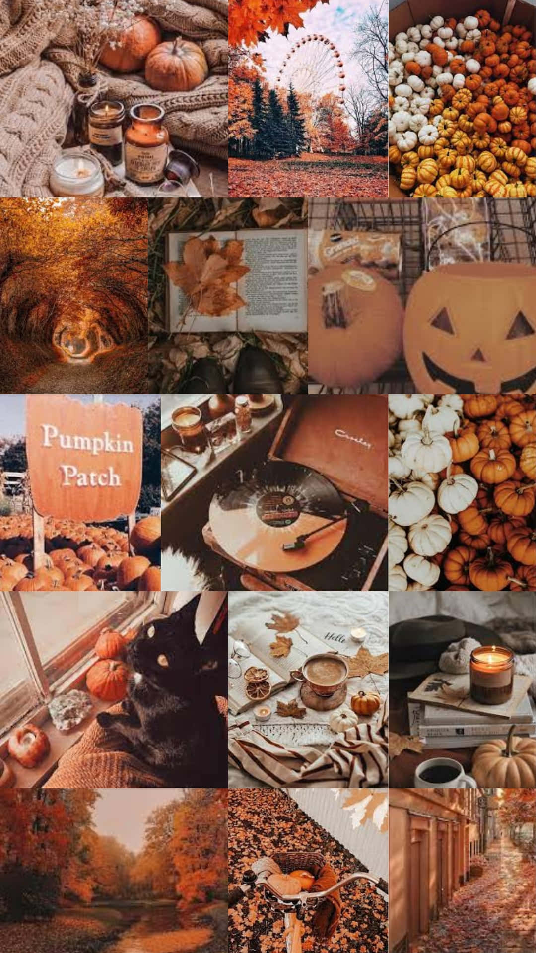 autumn, Halloween, pumpkins, Full HD Phone Wallpaper