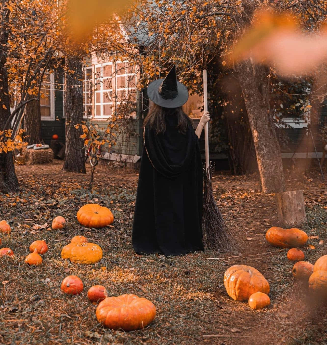 autumn witch, black cloak, black hat, HD Phone Wallpaper