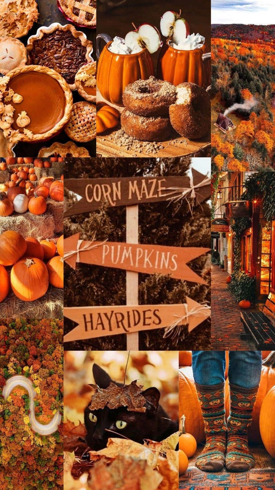 Fall Halloween Collage Aesthetic, pumpkins, pies, HD Phone Wallpaper