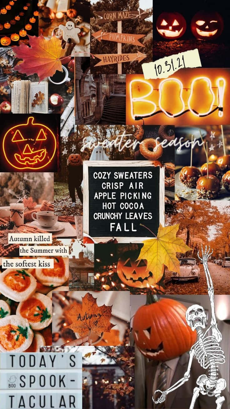 Fall Halloween Collage Aesthetic, pumpkins, jack-o-lanterns, HD Phone Wallpaper
