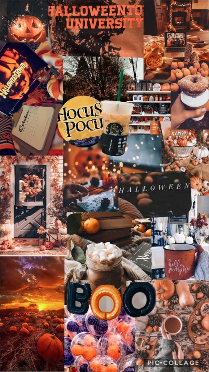 Fall Halloween Aesthetic, pumpkins, books, SD Phone Wallpaper