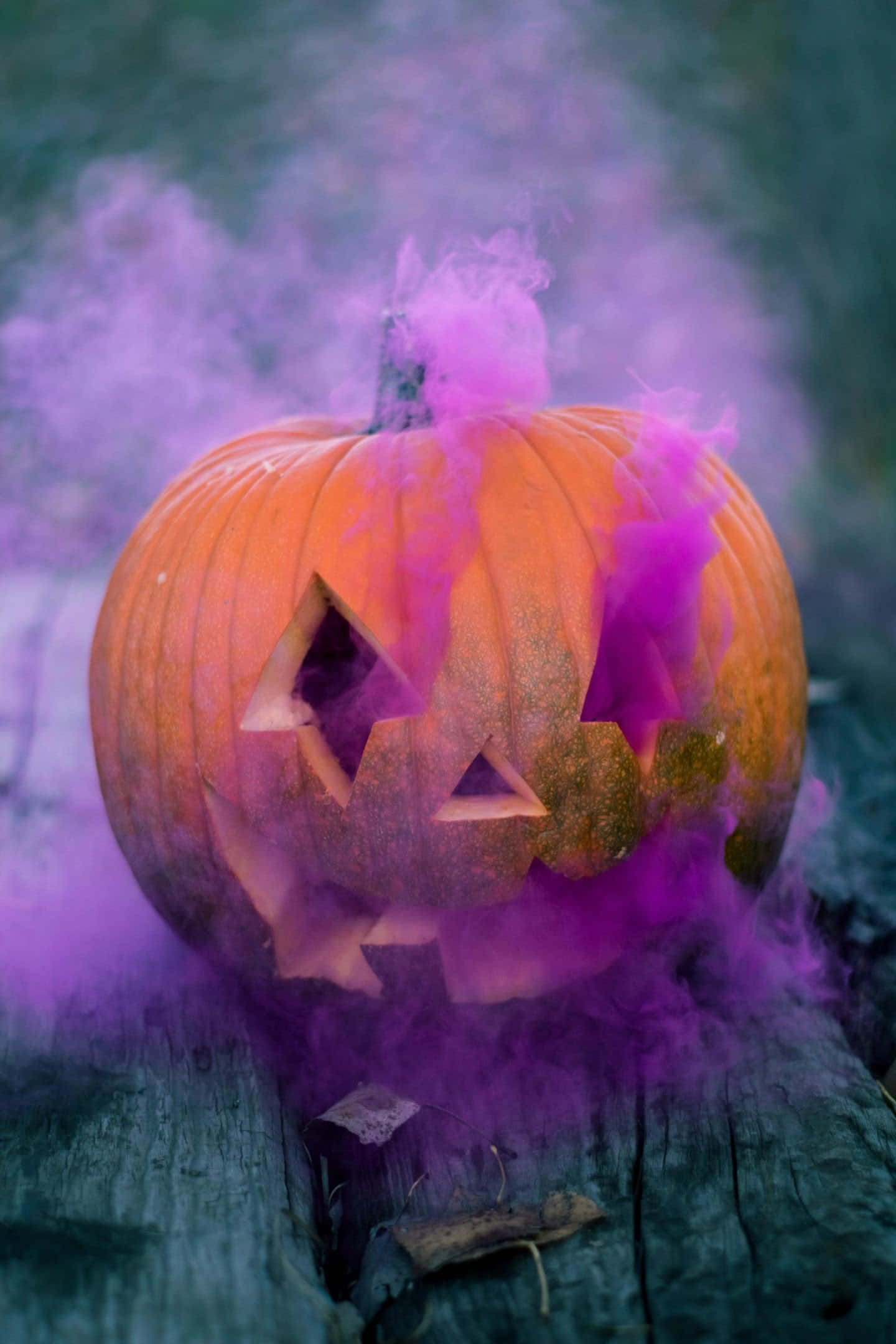 Fall Halloween iPhone, pumpkin, orange, Full HD Phone Wallpaper