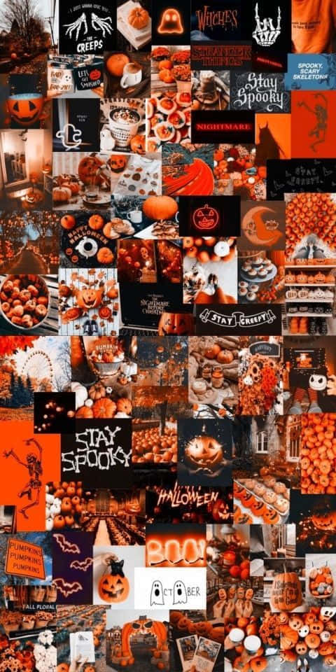 Fall Halloween iPhone, pumpkins, skulls, SD Phone Wallpaper