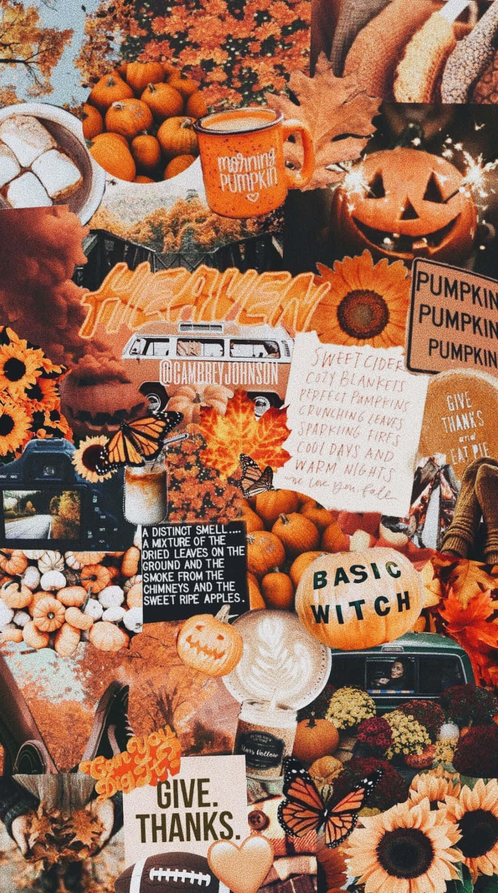 Fall Halloween, iPhone, pumpkins, HD Phone Wallpaper