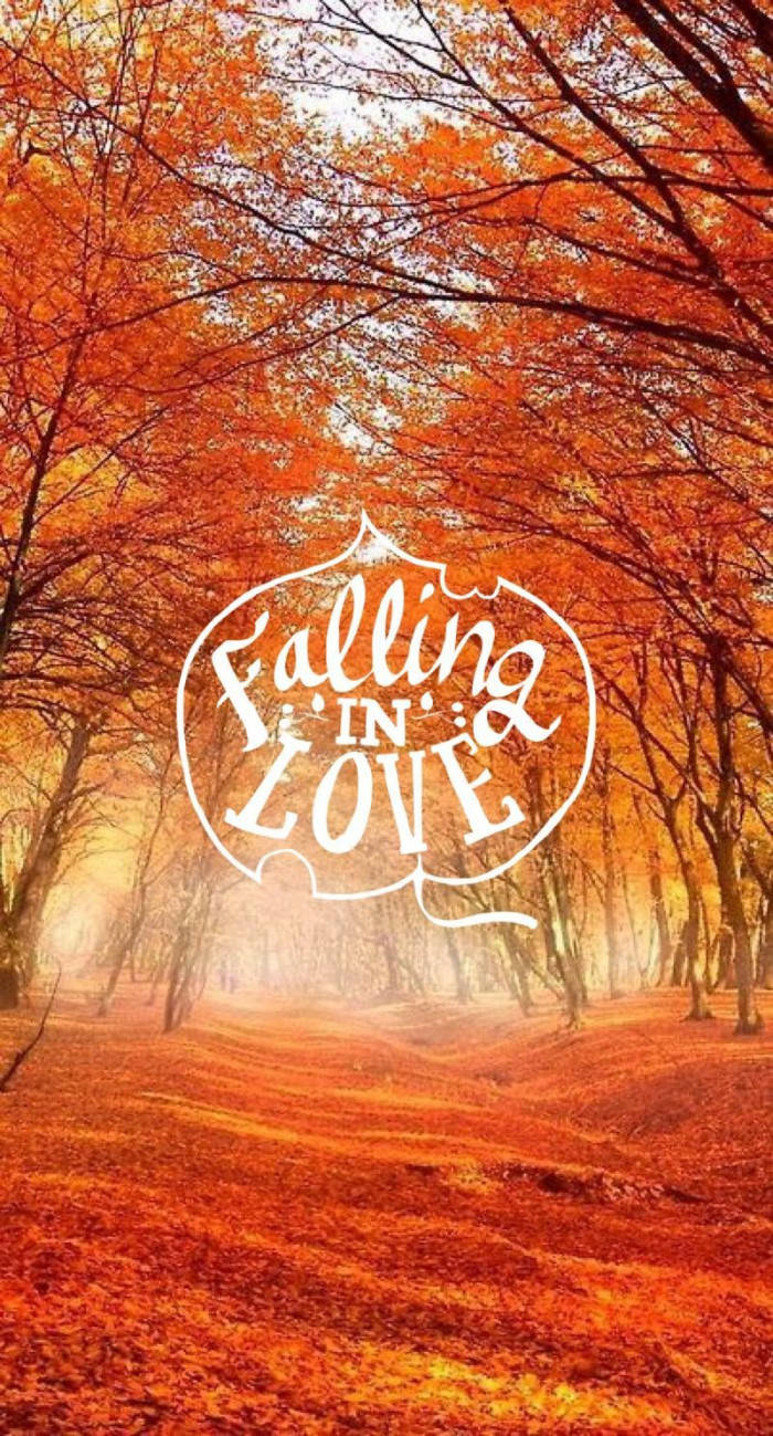 falling in love, autumn forest path, fiery orange leaves, HD Phone Wallpaper