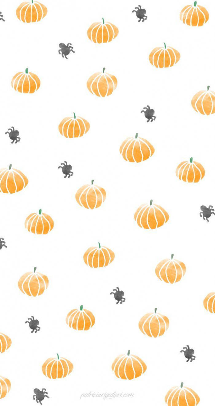 pumpkins, spiders, orange, HD Phone Wallpaper