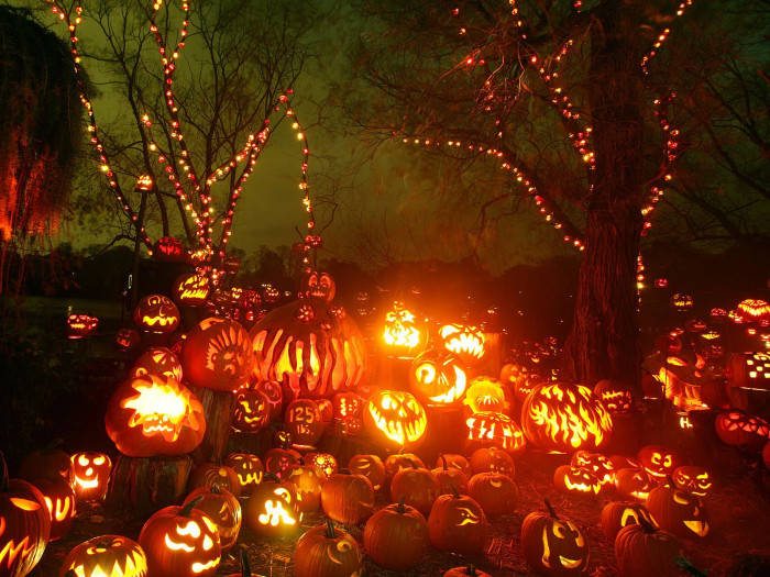 jack-o'-lanterns, glowing jack-o'-lanterns, dark forest at night, SD Desktop Wallpaper