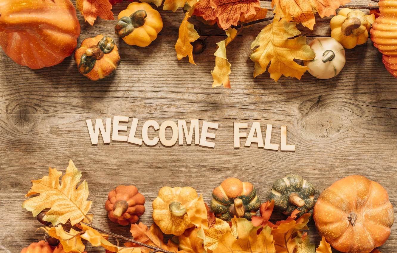 Fall Halloween, autumn leaves, pumpkins, HD Desktop Wallpaper