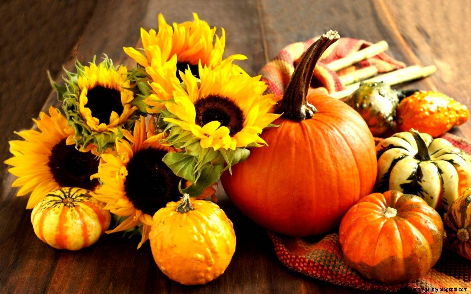 pumpkins, sunflowers, rustic wooden table, HD Desktop Wallpaper
