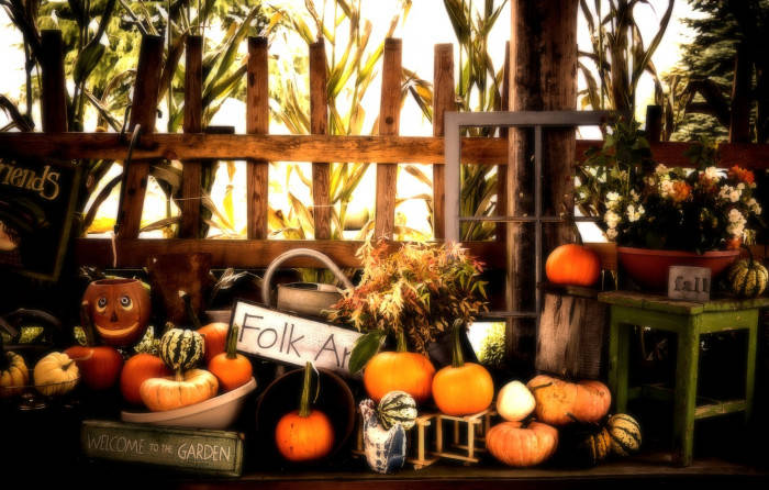 pumpkin, gourds, cornstalks, SD Desktop Wallpaper