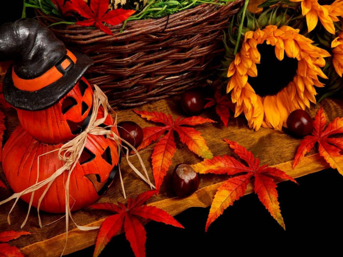witch pumpkin, witch hat, sunflowers, SD Desktop Wallpaper