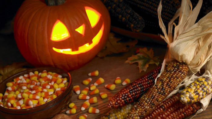 jack-o'-lantern, candy corn, autumn corn, SD Desktop Wallpaper