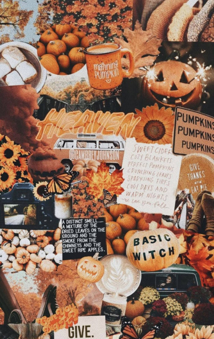 cozy fall halloween collage, pumpkins, sunflowers, SD Phone Wallpaper